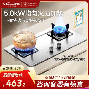 万和(Vanward)[小灶君]B6天然气燃气灶具钢化玻璃煤气炉双灶嵌入式5kW家用猛火一级能效家电 B6B60