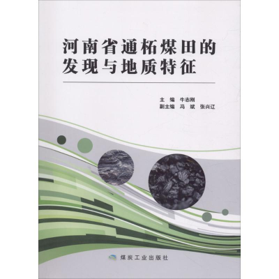 醉染图书河南省通柘煤田的发现与地质特征9787502065782