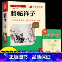 [七下必读]骆驼祥子(赠三阶梯阅读) 初中通用 [正版]初中必读名著骆驼祥子和钢铁是怎样练成的原著七八九年级下册上册经典