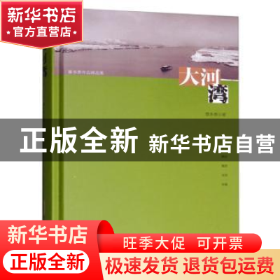 正版 大河湾 曹多勇 安徽文艺出版社 9787539661490 书籍