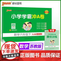 2025春季新版小学学霸冲A卷数学六年级下册苏教版SJ期末测试同步期中期末冲刺100分考试模拟卷总复习