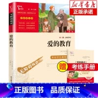 爱的教育 [正版]爱的教育青少版亚米契斯 小学生课外阅读经典书目三四五年级课外书快乐读书吧六年级上册8-9-10-12-
