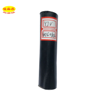 傻实在(SHASHIZAI) 电缆 国标全项保检 YJV 4*16+1*10 米