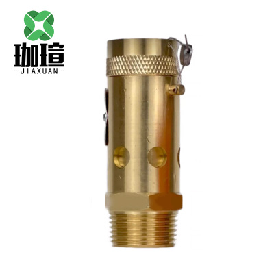 珈瑄 安全阀A28X-16T 个