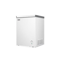 容声 BD/BC-145E10HNLAJ白 145升小型迷你冰柜家用冷藏冷冻单温卧式冷柜一级能效