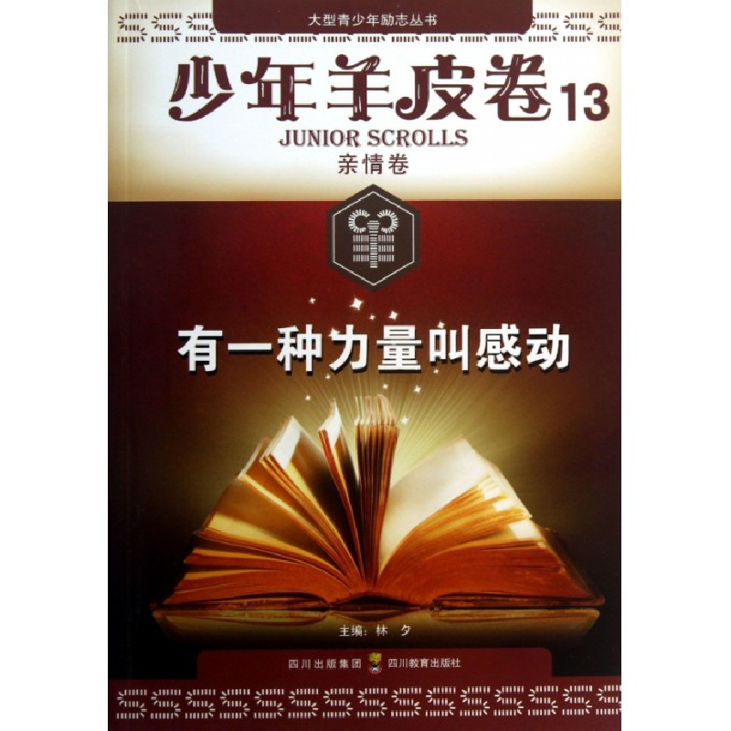 音像有一种力量叫感动/少年羊皮卷/大型少励志林夕