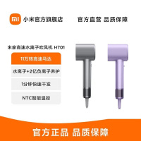 米家小米高速水离子吹风机H701 家用大风力电吹风 大功率速干降噪 双水离子护发 银河灰 教师节礼物
