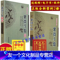 [友一个正版]2册 紫微斗数解密+紫微斗数 入门全书教程书籍 白话问 释意 讲义详批精诚 第一本书 王道亨 宋陈抟书籍