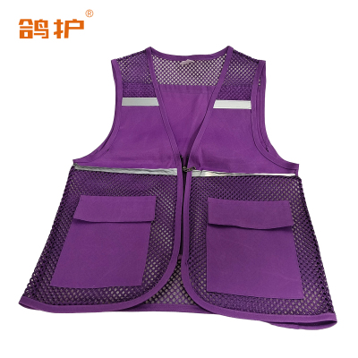 鸽护 马甲 mj11紫色 件