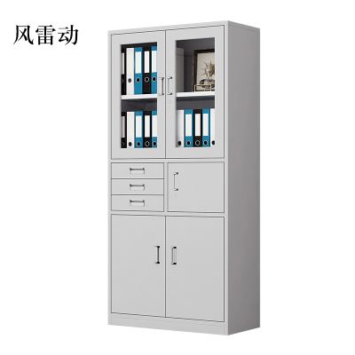 风雷动钢制资料柜档案柜财务凭证柜带锁储物柜铁皮柜书柜偏三内保文件柜