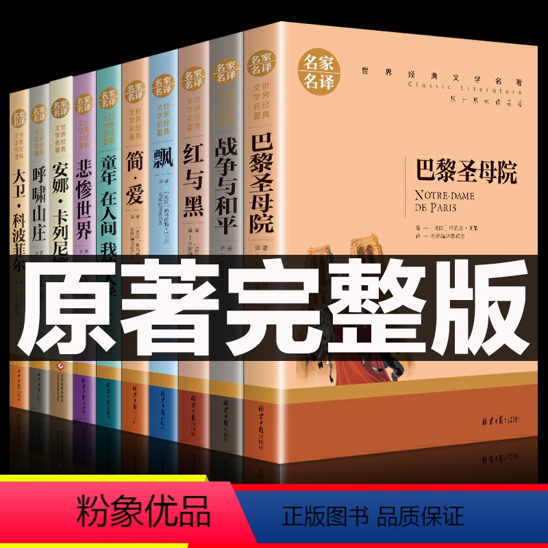 [正版]全10册世界十大名著 安娜卡列尼娜 简爱 红与黑 战争与和平 巴黎圣母院 飘 悲惨世界大卫科波菲尔呼啸山庄中学