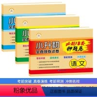 小升初押题卷语数英三册 小学通用 [正版]全新2024小升初真押题卷必刷题人教版六年级下册试卷测试卷全套语文数学英语18