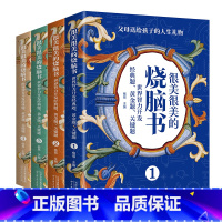 很美很美的烧脑书全4册 [正版]很美很美的烧脑书全4册 世界智力开发经典题黄金题关键题 小学一二三四年五六级智力开发书籍