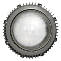 光大特照 EBF9381-L100 100W 220V IP65 LED平台灯 (计价单位:个) 灰色