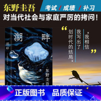 湖畔 [正版]湖畔 东野圭吾 讨论亲情、教育的社会派推理小说 警惕愧疚式家庭教育 悬疑侦探小说 日本推理 出品