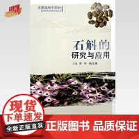 石斛的研究与应用 梁奇 梅全喜 主编 中国中医药出版社 名贵道地中药材研究与应用系列丛书