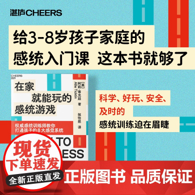 在家就能玩的感统游戏 打通孩子的8大感觉系统 让孩子更聪明、更专注、会社交、能自控 家庭育儿教养书籍 湛庐