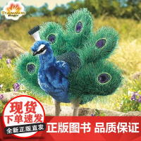 Folkmanis手偶毛绒玩具仿真孔雀女童玩偶儿童生日礼物女孩儿童节