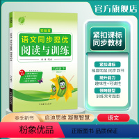 语文 九年级下 [正版]2024年春 初中语文实验班同步提优阅读与训练九年级语文下册人教版 9年级下册RJ版阅读理解写作