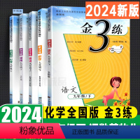 [九下5本套]江苏适用 语数英物/化全国版 初中通用 [正版]2024秋金三3练七年级八年级九年级语文数学英语物理化学上