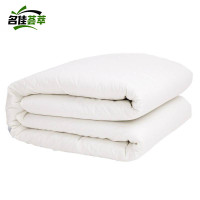 名佳荟萃 褥子 RZ-03 (双人床适用) 床