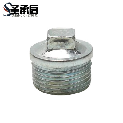 圣承启 堵头 DN20 6分 带边个