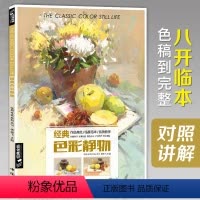 [正版]经典全集色彩静物书籍水粉临摹范本王画照片艺联高考乐突围中国美院高手名师定制精湛的小色调训练入门基础教程材杨建飞