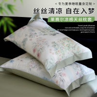 夏季凉感天丝枕套一对装2026新款高级感成人冰丝枕头套48x74单个