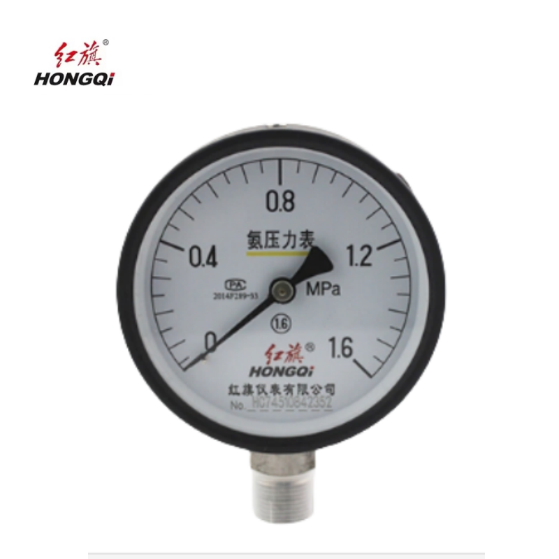 红旗 氨气压力表定制检测款YA-100 (压力值需备注) 块