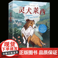 灵犬莱西 打动孩子心灵的动物经典 儿童文学经典名著二年级三年级四五六年级小学生课外书阅读物故事书老师童书少儿童话书正版