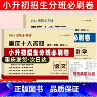 [正版]2024重庆十大名校小升初招生分班必刷卷 语文 数学 重庆小升初招生必刷卷 五六年级冲刺名校适用小学生毕业入初中