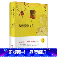 [正版]爱丽丝漫游奇境记精装全集无删减书三四五六年级课外书中小学课外读物经典世界名著梦游仙境奇遇记书籍中国文联出版社h