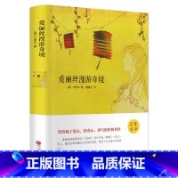 [正版]爱丽丝漫游奇境记精装全集无删减书三四五六年级课外书中小学课外读物经典世界名著梦游仙境奇遇记书籍中国文联出版社h