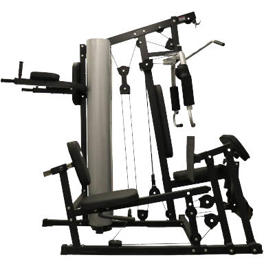 世尔顿(SHIERDUN) 三人站综合训练器 SED-H63 台