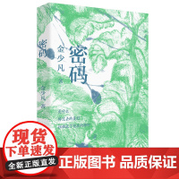 密码 首届曹儿童文学奖获得者金少凡作品这是一部略带悬疑因素的现实主义小说 中国工人出版社文学小说当代现代正版书籍