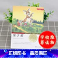 [正版]国际大奖小说 升级版 坡 青少年语文课外书 书籍 少儿童文学图书 故事书读物 小学生三年级四年级五年级六年级