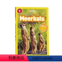 [正版]进口英文原版绘本 National Geographic Kids Readers:Ponies 国家地理分级