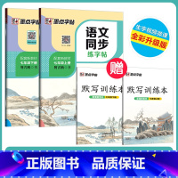 [语文同步]7年级上册+下册 七年级/初中一年级 [正版]七年级上册初中生练字墨点字帖人教版语文同步练字帖初一中学七年级