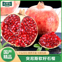 [苏鲜生] 会理突尼斯软籽石榴 净重5斤 中果 单果250-300g 新鲜孕妇水果 坏果包赔