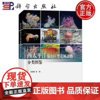 正版]西太平洋海山巨型底栖动物分类图鉴 徐奎栋等 科学出版社9787030776099