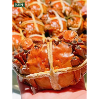[鲜活大闸蟹]苏鲜生 苏宁甄选大闸蟹 公4两 母3两 8只