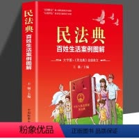 [正版]2021新版中华人民共和国民法典百姓生活案例图解大字版法律常识收录社会生活中的常见普遍法律问题典型案例法律知识