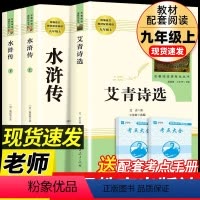 [九上•人教版3册]艾青诗选+水浒传上下册 [正版]儒林外史和简爱书籍原著人民教育出版社九年级下册必读世界文学名著课外书