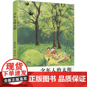 少年人的太阳