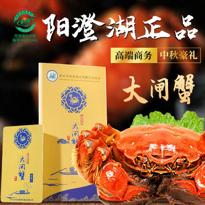 [礼券]蟹灵阁阳澄湖大闸蟹礼券螃蟹券 海鲜水产 6888型 公6.0两 母4.0两 4对8只装