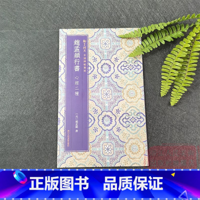 [正版]赵孟頫行书xin经二种 高清彩色原碑帖墨迹本简体旁注 赵孟頫行书毛笔书法字帖 浙江人民美术出版社