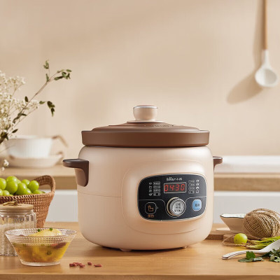 小熊(Bear)DDG-D40X9 电炖锅 紫砂内胆紫砂炖汤锅微电脑煲粥熬粥