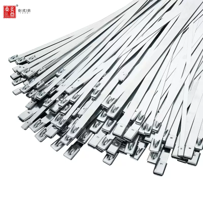 泰炙鼎 不锈钢扎带 19*1800mm 根