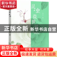 正版 昆虫微世界:色铅笔下的奇妙昆虫绘 麦小朵编著 中国青年出版