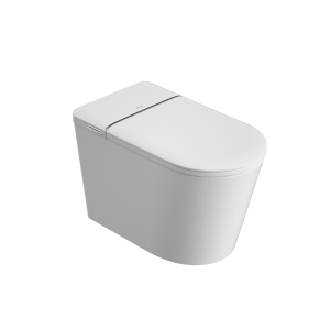 金牌卫浴GOLD R10Q轻智能 脚感冲水 四季温感 KA(含安装)RF3210Q-02(300坑距)